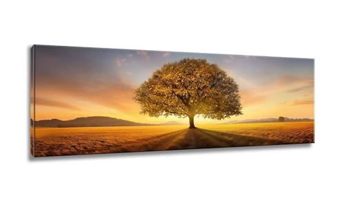 Baum Diamond Painting Groß xxl,Diamond Painting Erwachsene,Diamond Painting Herbst, Diamond Painting 40x120cm,DIY 5D Square Diamond Painting Set für Home Wand Decor,Muttertagsgeschenke für Mama MX-188 von Mixmblon