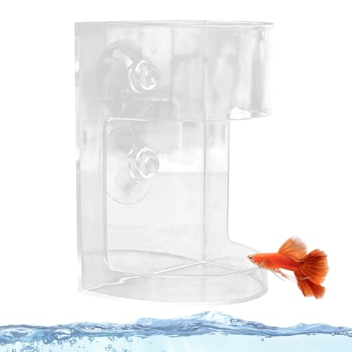 Mixnexorad Aquarium Futterautomat | Klarer Kampffisch Futterautomat,Strömungssicherer Großraum-Futternapf mit Saugnapf für Fischzucht Teich Brutstätte Mixnexorad Aquarium Futterautomat | Klarer Kampffisch Futterautomat,Strömungssicherer Großraum-Futternapf mit Saugnapf für Fischzucht Teich Brutstätte von Mixnexorad
