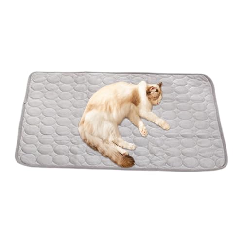 Miyanvuo Hundekühlmatte Outdoor - Kühle Hundebetten Schlafdecke Wasserdicht | Zusammenklappbare Haustier Matte Bei Für Rasen Auto Park Wohnzimmer Picknick von Miyanvuo