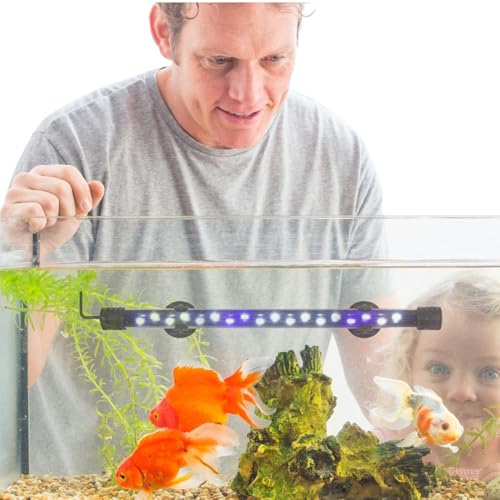 Miyanvuo Tauchfähiges Aquariumlicht,Tauchfähiges Aquarium mit LED-Beleuchtung,Unterwasser-Aquarium-Licht | Unterwasserleuchten für Aquariumdekorationen, LED-Lichtleiste für Aquarien und Fischteiche Miyanvuo Tauchfähiges Aquariumlicht,Tauchfähiges Aquarium mit LED-Beleuchtung,Unterwasser-Aquarium-Licht | Unterwasserleuchten für Aquariumdekorationen, LED-Lichtleiste für Aquarien und Fischteiche von Miyanvuo