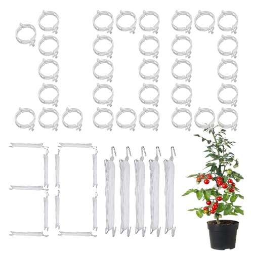 Miyanvuo Tomatenpflanzen Clips Zur Befestigung - Pflanzenstütze Gartenspalier,Rankgitter Set Für Garten Gurken Balkon Rosen Miyanvuo Tomatenpflanzen Clips Zur Befestigung - Pflanzenstütze Gartenspalier,Rankgitter Set Für Garten Gurken Balkon Rosen von Miyanvuo