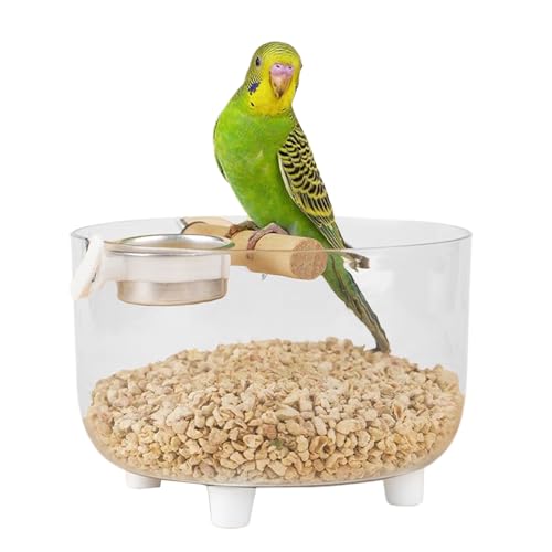 Miyanvuo Vogel Spielständer - Mobiler Spielständer Mit Entfernbarem Edelstahl Futternapf | Toilettenplatz Spielstander Für Mittelgroße Und Kleine Wellensittiche Und Liebesvögel Miyanvuo Vogel Spielständer - Mobiler Spielständer Mit Entfernbarem Edelstahl Futternapf | Toilettenplatz Spielstander Für Mittelgroße Und Kleine Wellensittiche Und Liebesvögel von Miyanvuo