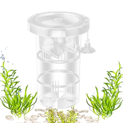 Miyanvuo Zuchtbox - Aquarium Absetzbox,Einstellbares Wiederverwendbares Refugium zur Brutaufzucht und Lebendfutterzucht für Aquariumbewohner von Miyanvuo
