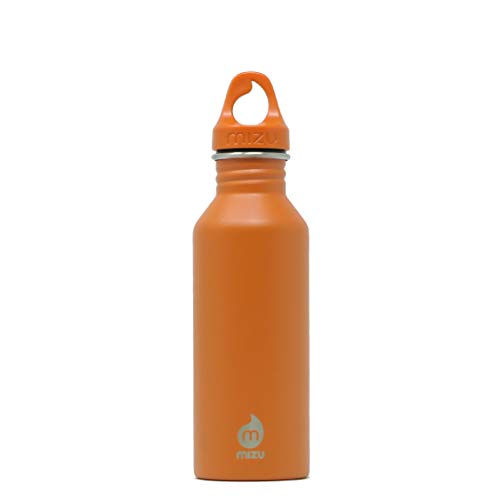 Mizu Borracia M5, 530 ml von Mizu