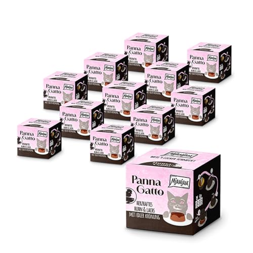 MjAMjAM - Premium Nassfutter für Katzen - Panna Gatto - herzhaftes Huhn & Lachs mit edler Krönung, 12er Pack (2x80g), getreidefrei von MjAMjAM