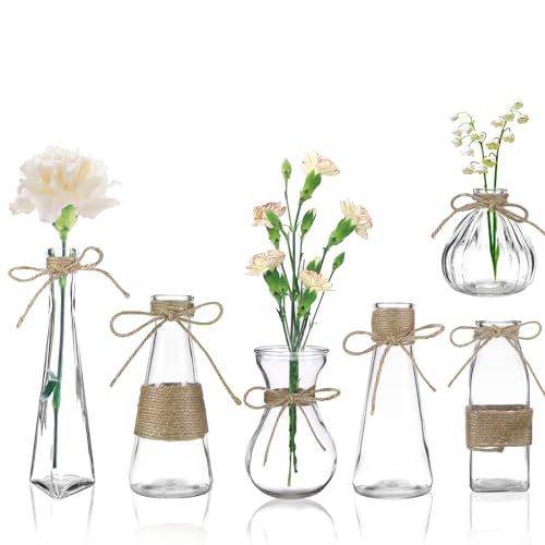Vase Glas, 6er-Set Kleine Vasen für Tischdeko, Glasvasen Blumenvase Vintage mit Hanfseil, Mini Vasen Set für Blumen Trockenblumen Tischdeko Hochzeitsdeko - 6 Stile von Mkitnvy