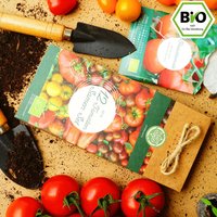 Bio Tomaten Samen Set - 12 Sorten Samenfestes Saatgut. Bunte Und Alte Tomatensamen Ideal Für Garten, Balkon Hochbeet von Mkloveplants