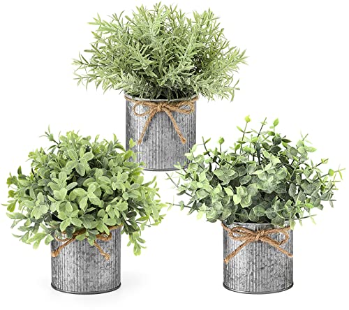 Mkono Künstliche Pflanzen, 3 Stück künstliche Eukalyptus, Tischplatte dekor, künstliches Grün für Zuhause, Schreibtisch, Bauernhaus Dekor von Mkono