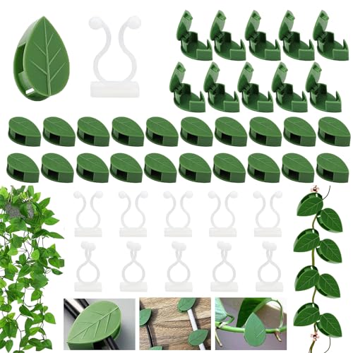 40 Stück Pflanzenclips für Kletterpflanzen, Selbstklebende Pflanzenklammern Pflanzen Plant Clips, 30 Grüne Pflanzenklammern Befestigung und 10 Weiß Pflanzenhalter Wand Clip, für Pflanzenstützung von Mmgoqqt