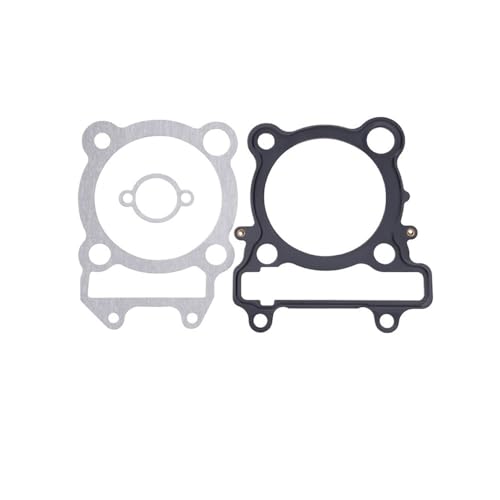 Motorrad Motor Zylinder Komplette Dichtung for XG250 TRICKER XT250 YFM25R 250 5XT-11181-00-00 4D3-11351-00-00 von MnVwCu