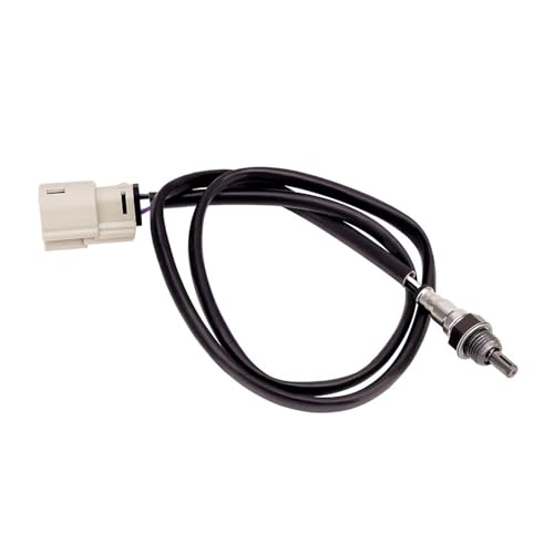 Motorrad Sonde for Blackline FXS Breakout CVO FXSBSE Cabrio FLSTSE3 Deluxe FLSTNSE Lo FLST(Front) von MnVwCu