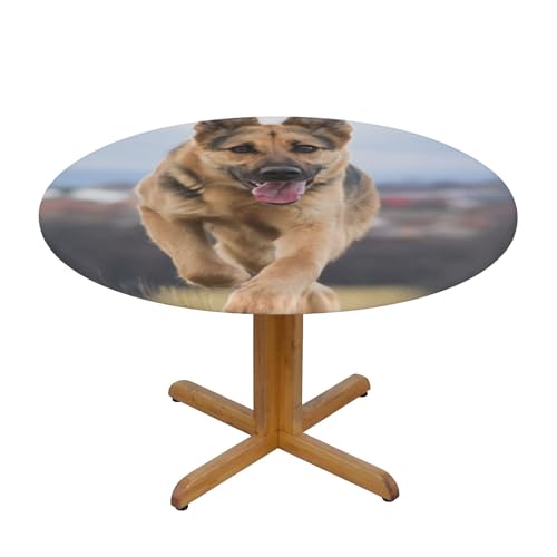 Mngpouw Tischdecke, Motiv: laufender Deutscher Schäferhund, knitterfrei und abwischbar, runde Tischdecke für Küche, Esstisch, Dekoration, M von Mngpouw
