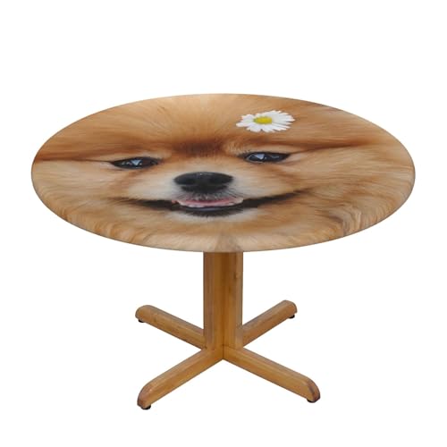Mngpouw Tischdecke mit Hund mit Blumendruck, knitterfrei und abwischbar, runde Tischdecke für Küche, Esstisch, Dekoration, M von Mngpouw