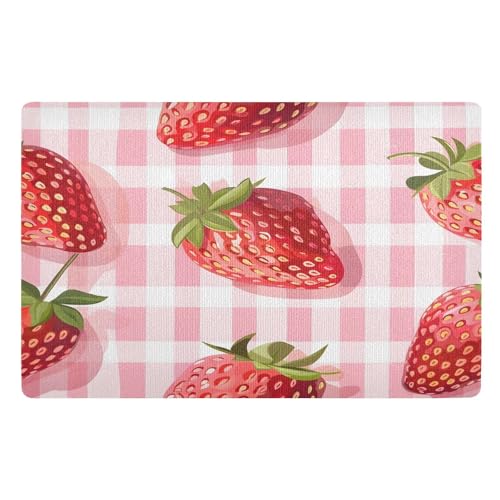 Fußmatte Erdbeere Rosa Plaid Fußmatte Haustürmatte rutschfeste Schmutzfangmatten für Eingang, Innen, Küche, 50 x 80 cm von Mnsruu