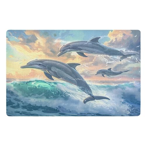 Fußmatte für den Innenbereich, 50 x 80 cm, Delfine gesprungen, rutschfest, waschbar, saugfähig, Eingangsteppich, Bodenmatte von Mnsruu