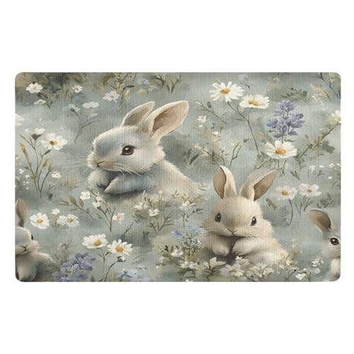 Fußmatte für den Innenbereich, 50 x 80 cm, Motiv: Hase, Gänseblümchen, Kaninchen, rutschfest, waschbar, saugfähig, Eingangsteppich, Bodenmatte von Mnsruu