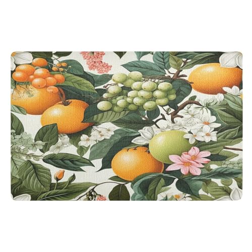 Fußmatte für den Innenbereich, 50 x 80 cm, Zitrone, Orange, Grün, Blätter, rutschfest, waschbar, saugfähig, Eingangsteppich, Bodenmatte von Mnsruu