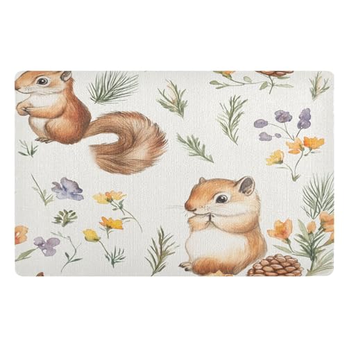 Handgezeichnete Eichhörnchen Blumen Fußmatte Haustürmatte rutschfeste Schmutzfangmatten für Eingang, Innen, Küche, 50 x 80 cm Handgezeichnete Eichhörnchen Blumen Fußmatte Haustürmatte rutschfeste Schmutzfangmatten für Eingang, Innen, Küche, 50 x 80 cm von Mnsruu