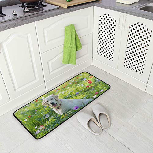 Küchenmatte Golden Retriever Hund Muster rutschfeste Rückseite Fußmatte Boden Küche Teppiche Bad Läufer Matten Teppich, 99 X 50.8CM von Mnsruu