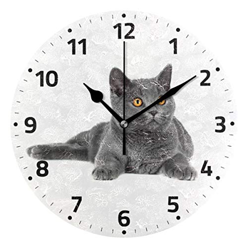 Mnsruu Britische Katze Runde Wanduhr, Silent Non Ticking Ölgemälde für Schlafzimmer Wohnzimmer Büro Schule Wohnkultur von Mnsruu