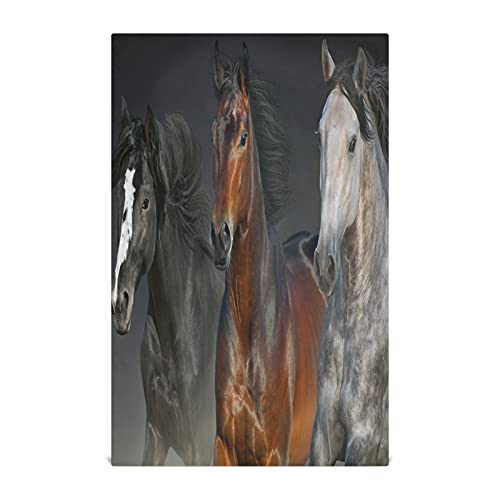 Mnsruu Geschirrtuch mit Pferdemotiv, sehr saugfähig, weich, 71 x 46 cm von Mnsruu