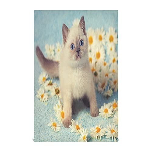 Mnsruu Küchenhandtuch, Motiv: lustige Katze, Kätzchen, Gänseblümchen, Blume, Geschirrtuch, Geschirrtuch, 1 Stück, super saugfähig, weich, 45,7 x 71,1 cm von Mnsruu