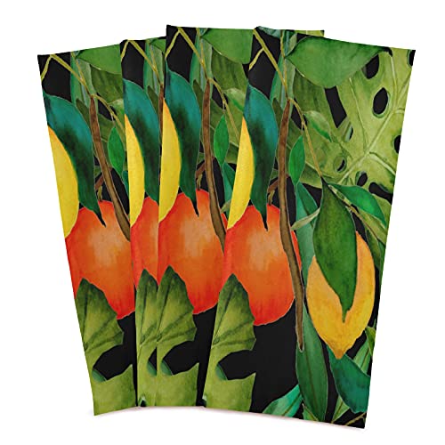 Mnsruu Küchentücher mit tropischen Monstera-Blättern, Zitrone, Obst, Geschirrtuch, Geschirrtücher, Set mit 4 Stück, super saugfähig, weich, 71 x 46 cm von Mnsruu