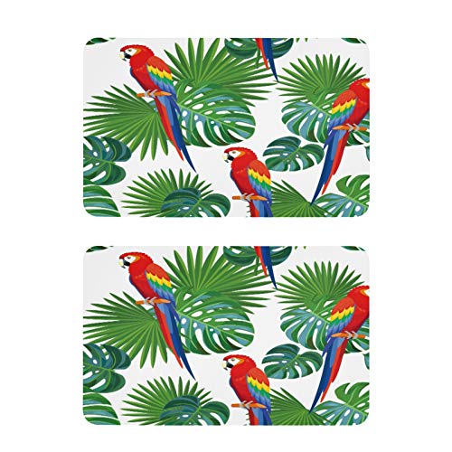 Mnsruu Kühlschrankmagnete mit tropischen Papageien, Monstera-Blättern, 2 Stück, dekorativer Kühlschrank, Whiteboard, Küche, Büro von Mnsruu