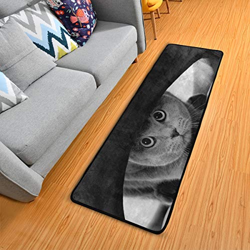 Mnsruu Lustiger Läufer mit schottischen Katzen mit großen Augen, für Küche, Küche, Bad, Fußmatte, großer Läufer, Teppich, 182,9 x 61 cm Mnsruu Lustiger Läufer mit schottischen Katzen mit großen Augen, für Küche, Küche, Bad, Fußmatte, großer Läufer, Teppich, 182,9 x 61 cm von Mnsruu