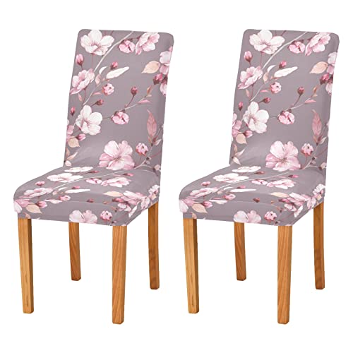 Stuhlhussen mit Kirschblüten auf Ästen, dehnbar, bedruckt, für Esszimmerstuhl, waschbar, abnehmbar, für Küche, Esszimmer, Hochzeit, Party, Zeremonie, Universalgröße Stuhlhussen mit Kirschblüten auf Ästen, dehnbar, bedruckt, für Esszimmerstuhl, waschbar, abnehmbar, für Küche, Esszimmer, Hochzeit, Party, Zeremonie, Universalgröße von Mnsruu