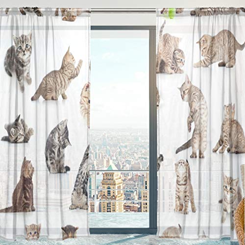 Yibaihe Fenster Vorhänge, Gardinen Katze Muster Modern Voile Platten Tüll Gardinen 198 cm Lang für Wohnzimmer Schlafzimmer Fenster Decor Set von 2 von Mnsruu