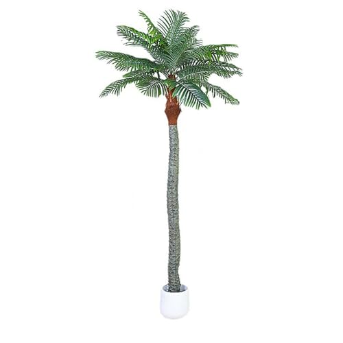 MoBShiK draussenSimulationsbaum, kleine Kokospalme, Simulationspflanze, Bonsai für den Innenbereich, Tropische grüne Palme, bodenstehende Topfbaumdekoration(1.8m) von MoBShiK