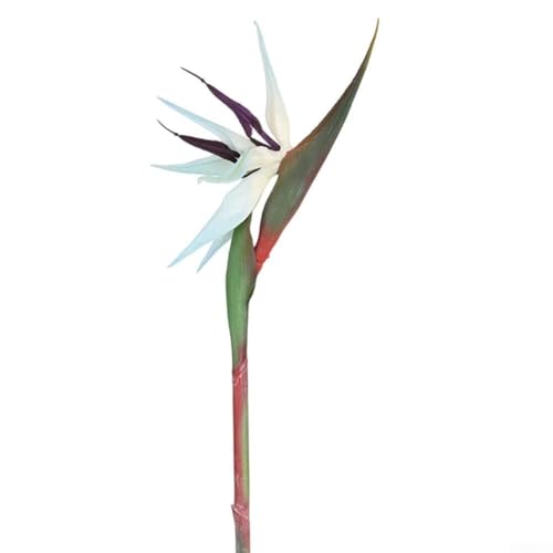 Künstliche Paradiesvogelblumenstiele 6 Stück für Innen Garten und Hochzeitsdekoration, entworfen, um natürliche Blumen nachzuahmen, mit flexiblen Stielen zum Formen (Trompetenblau) von MoSundi