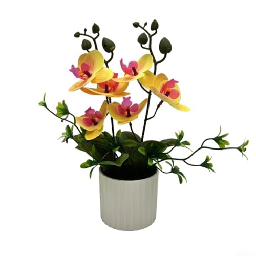 Lebensechte Orchidee für den Innenbereich, wartungsarme Simulation Phalaenopsis für Zuhause und Büro Dekor (gelb) von MoSundi