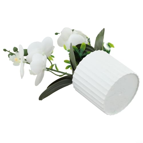 Lebensechte Orchidee für den Innenbereich, wartungsarme Simulation Phalaenopsis für Zuhause und Büro Dekor (weiß) von MoSundi