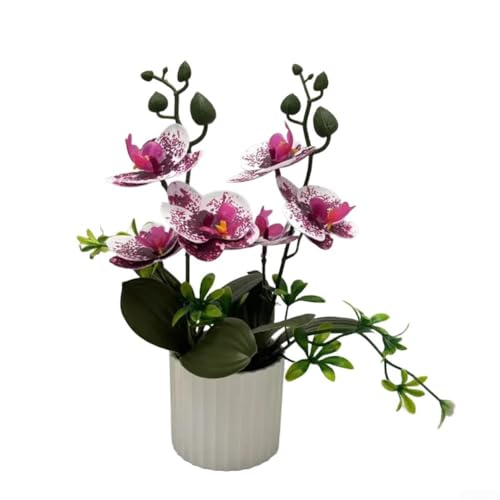 Realistische Orchideen-Bonsai-Simulation für Innenräume, verschönern Sie Ihre Einrichtung mit elegantem Phalaenopsis-Design (lila und weiß) von MoSundi