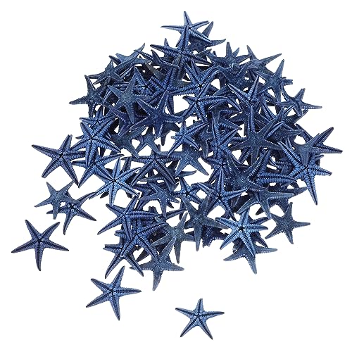 Mobestech 100stücke Natürliche Sternen Dekoration Für Aquarium Seestern Wunschmodell Schmuck Für DIY Handwerk Und Innendekoration Mobestech 100stücke Natürliche Sternen Dekoration Für Aquarium Seestern Wunschmodell Schmuck Für DIY Handwerk Und Innendekoration von Mobestech