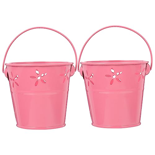 Mobestech 2 Stück Vintage Eisenblumentöpfe mit Hohlmuster Kreative Blumentöpfe für Zuhause Kinderzimmer oder Partys für Trockenblumen und Kunstblumen von Mobestech