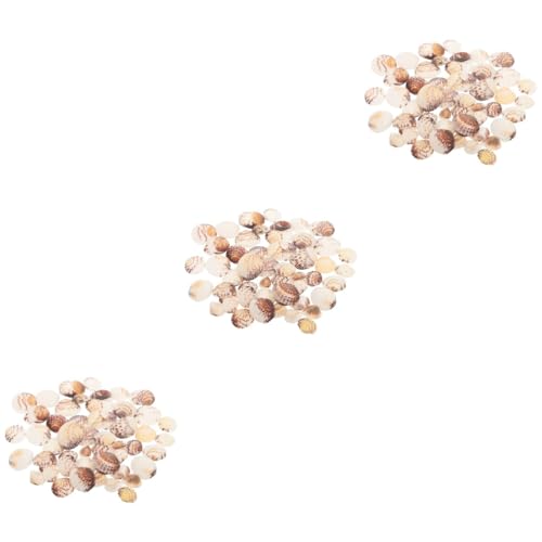 Mobestech 3 Stück 1 Schalendekoration Tank thematisiert farbig Zubehör für Aquarien Vase -Füllstoff Mini Muschel-Ornamente Muscheln selber Machen Aquariendekor Muscheln Hülse von Mobestech