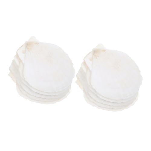 Mobestech Decor 40 Stücke Scallop Muscheln Natürliche Ornament Für Fisch Tank Strand Decor Teich Landschaftsbau Mobestech Decor 40 Stücke Scallop Muscheln Natürliche Ornament Für Fisch Tank Strand Decor Teich Landschaftsbau von Mobestech