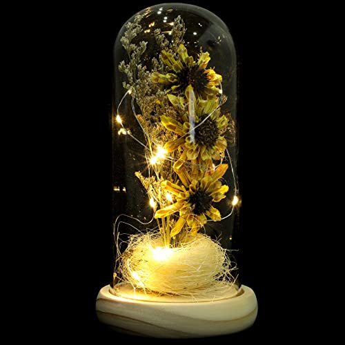 Mobestech Sonnenblume in einer Glaskuppel mit LED-Lichtern, dekorative Tischlampe, konservierte Blume, Geschenke für sie, Muttertag, Valentinstag, Jahrestag von Mobestech