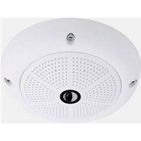 Mobotix Mx-Q26B-6N016 LAN IP Überwachungskamera 3072 x 2048 Pixel von Mobotix