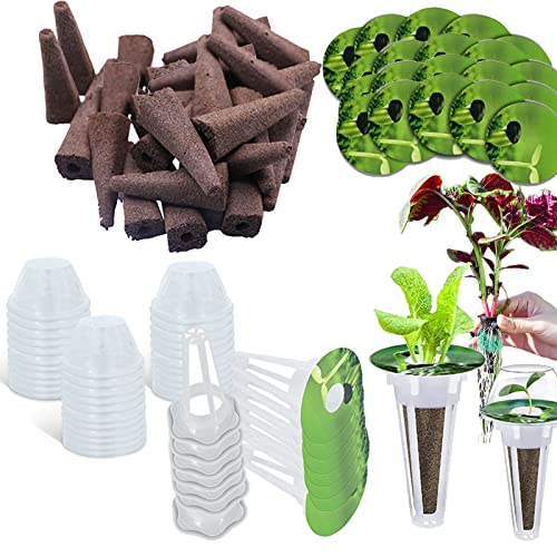 Hydroponisches Anzuchtsystem, 200Pcs Indoor Kräutergarten Kit Hydrokultur Ersatz Zuchtschwämme Anzuchtkasten Samen Starter Anzuchtset Hülsen Ersatz Für Garden Hydroponic System Keimungskits von Mocoli