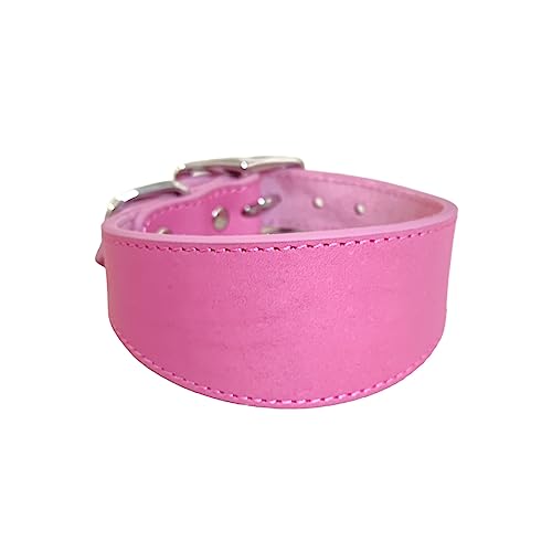 Leathers Greyhounds Halsbänder Weiche Polster Breite Kragen Für Whippets Lurchers Salukis Große Rassen Haustier Accessoires Hundekragen Leder Breit Gepolstert Leathers Greyhounds Halsbänder Weiche Polster Breite Kragen Für Whippets Lurchers Salukis Große Rassen Haustier Accessoires Hundekragen Leder Breit Gepolstert von Mocoocouture