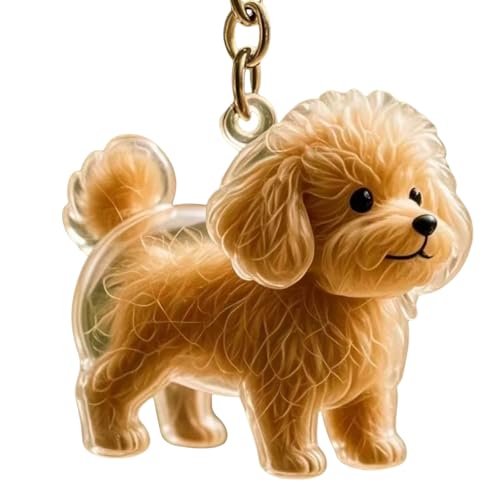 Mocoocouture Clear Pet Memorial Schmuck Schlüsselketten Plastikhaarhalter Hund Fell Sammler Andenken Für Trauernde Hundebesitzer Geschenk Haarspeicher Schlüsselbund Charme von Mocoocouture