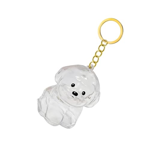 Mocoocouture Clear Pet Memorial Schmuck Schlüsselketten Plastikhaarhalter Hund Fell Sammler Andenken Für Trauernde Hundebesitzer Geschenk Haarspeicher Schlüsselbund Charme von Mocoocouture