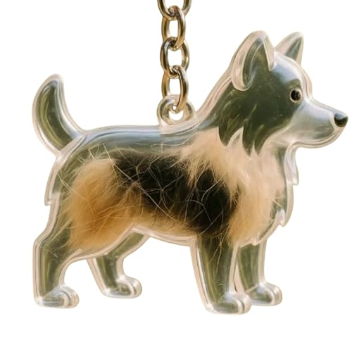 Mocoocouture Clear Pet Memorial Schmuck Schlüsselketten Plastikhaarhalter Hund Fell Sammler Andenken Für Trauernde Hundebesitzer Geschenk Haarspeicher Schlüsselbund Charme von Mocoocouture