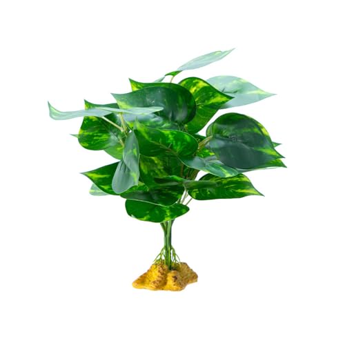 Mocoocouture Dekorative Pflanzenaquarien Pflanzendekoration Terrarien Tanks Dekoration Für Eidechsen Und Schlangendauer Tierkarten Dekorationen Dekorationen von Mocoocouture