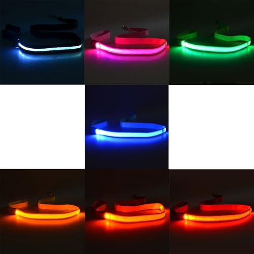 Set Von 4 LED Hundeleine Wiederaufladbare Wasserdicht Set Von 4 LED Hundeleine Wiederaufladbare Wasserdicht von Mocoocouture