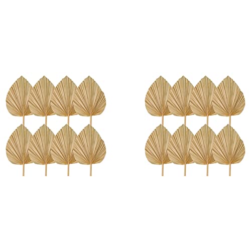 Mocturnity 16 STÜCKE Getrocknete Palmblätter Dekorationen Getrimmte Getrocknete Palmenfächer Tropische Getrocknete Hochzeitsblumen Boho Hochzeitsdeko von Mocturnity